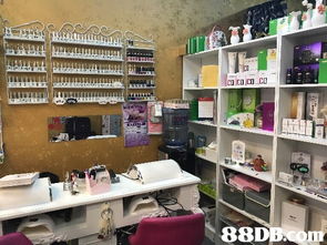 2020香港市廣場廚具衛具及日用雜品零售價格與商戶資訊指南