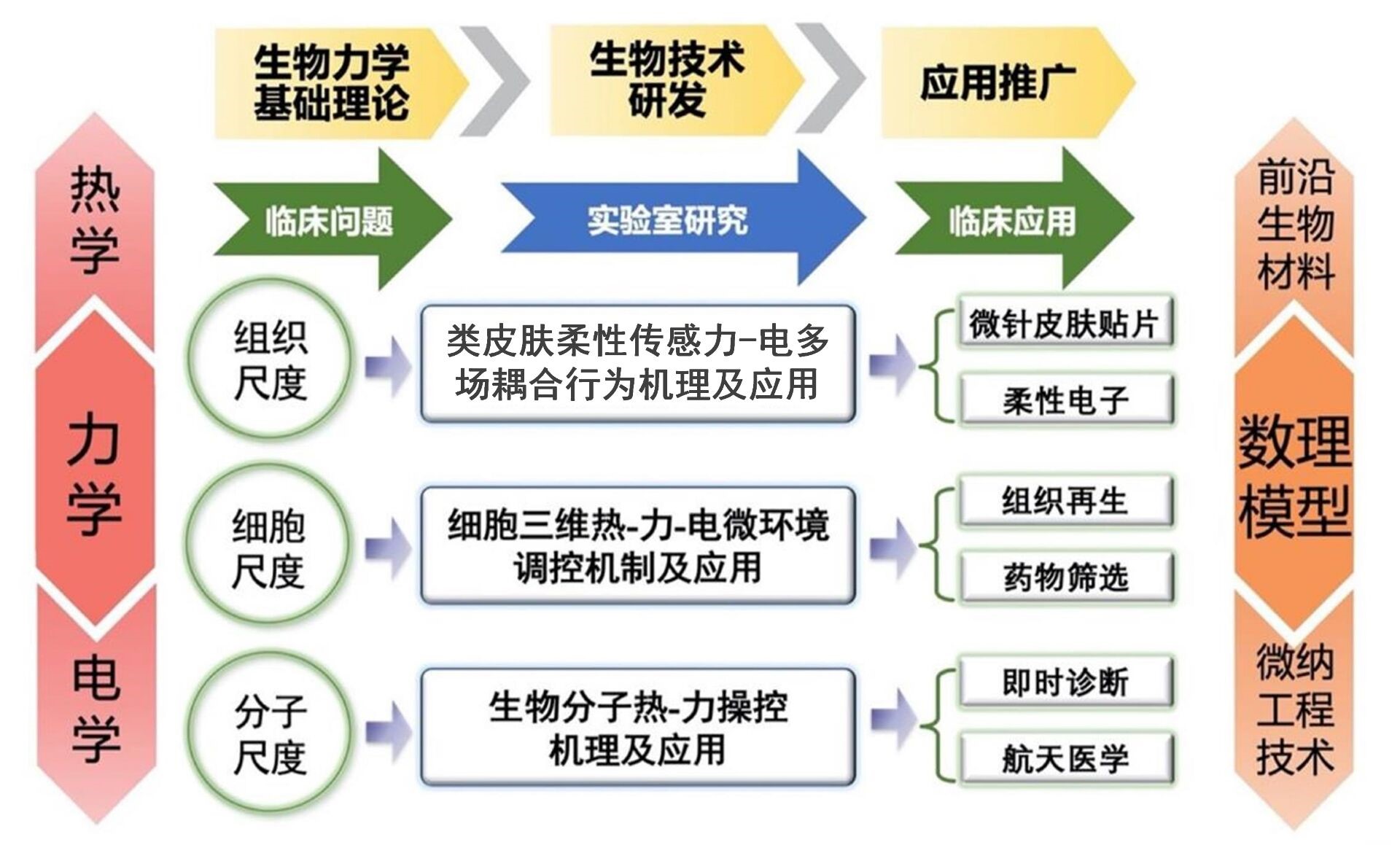 賦能生物醫(yī)學(xué)未來 西安交通大學(xué)生物力學(xué)研究所誠(chéng)邀科研英才加盟